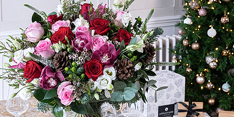 It's Not All About Holly! 10 Best Flowers to Deck the Halls with this Christmas