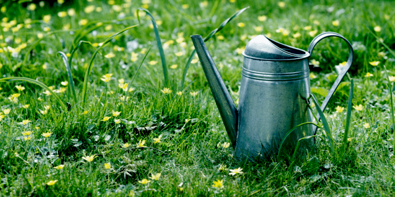 10 Flower and Gardening Apps To Start Using Right Now