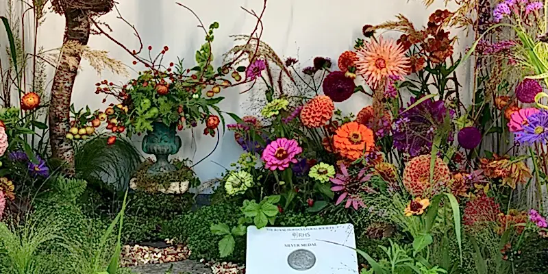 Chelsea Flower Show 2021: Photos & Highlights
