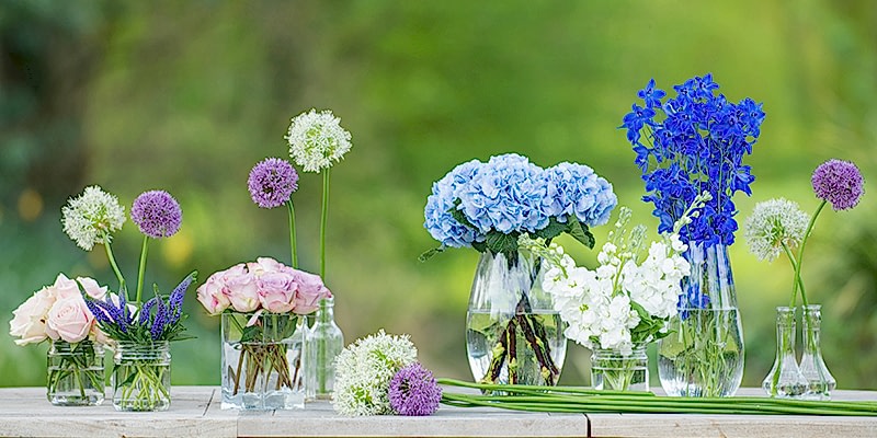 What vegetables to plant in May