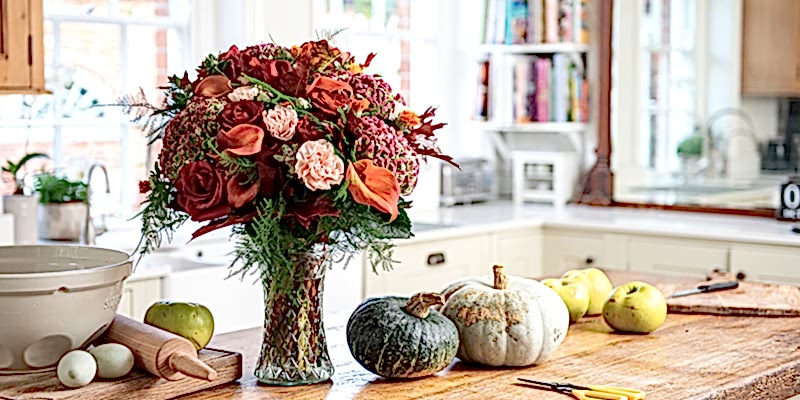 10 Autumn Facts from Appleyard London