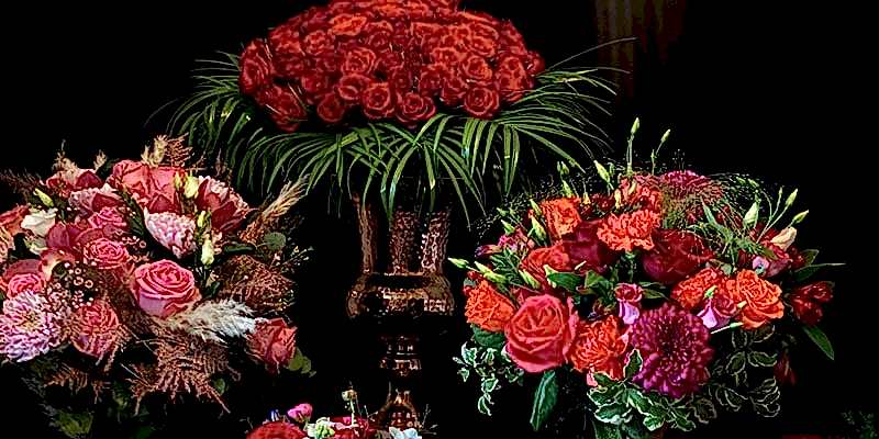 9 Most Romantic Flowers for Valentine's Day