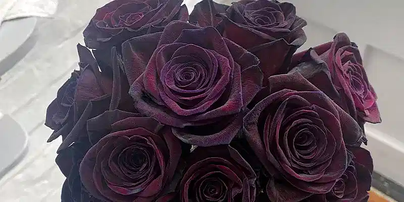 12 Flowers To Send To People You Hate