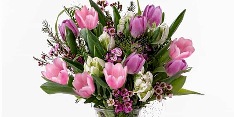 7 Facts You Didn't Know About Tulips