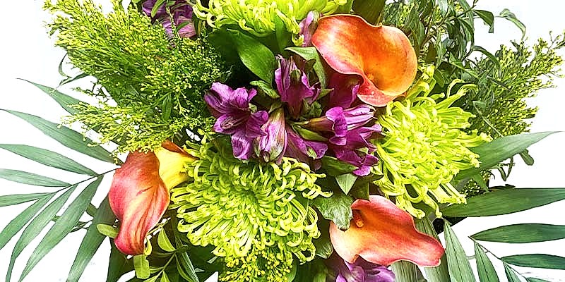 Caribbean Flowers: Our Top 10 Picks | Appleyard Blog