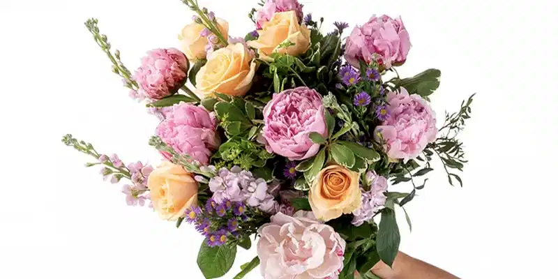 Flowers and their scent