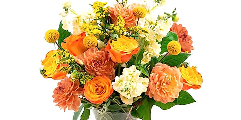 5 Facts About Dahlias You Didn’t Know