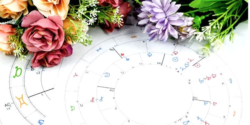 Romantic Flowers for Every Zodiac Sign: Find Your Perfect Match