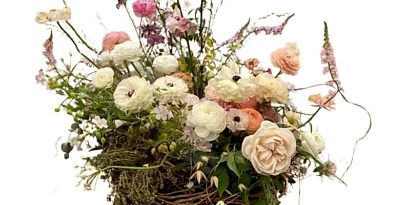 Chelsea Flower Show 2025: Highlights & Trends