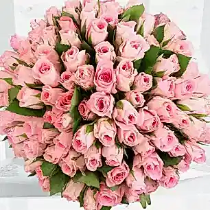 100 Pink Roses