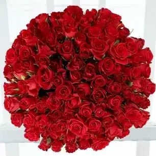 100 Red Roses