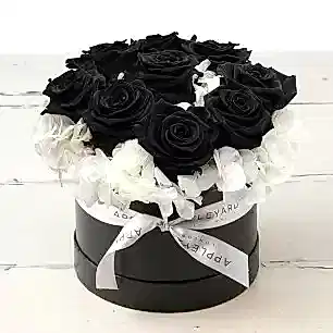 Black Rose & White Hydrangea Hatbox (Lasts Up To A Year)