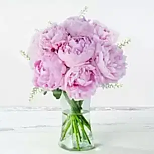 Pink Peonies