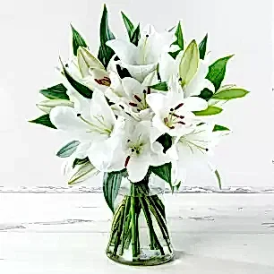 Casablanca Lily Bouquet