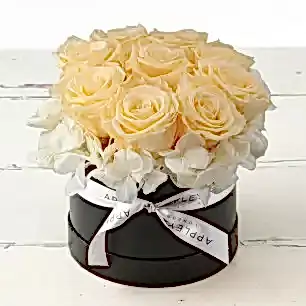 Champ rose and wht hydrangea 12