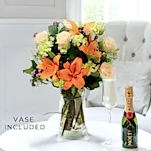 Coral Garden, Mini Moët, Vase & Card