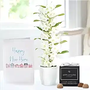 White Scented Dendrobium Orchid in Pot, 12 Truffles & New Home Card