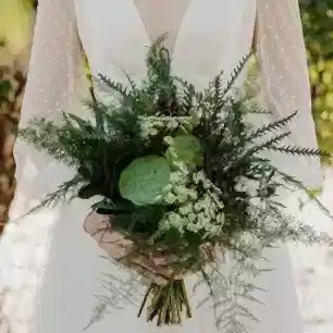 Enchanted Forest Collection