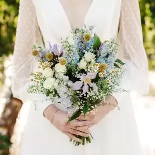Wild Meadow Collection