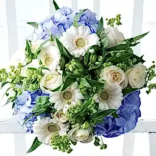 Forget Me Not