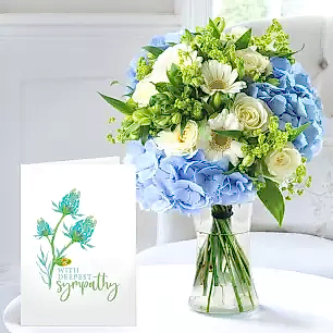 Forget Me Not, Vase & Sympathy Card