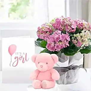 Gift Wrapped Pink Hydrangea Plant, Pink Bunny & Baby Girl Card