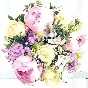 Peonies & Cream