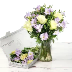 Letterbox Rose & Freesia