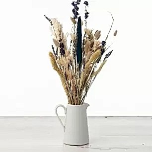 Little Lavenders