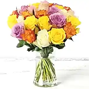 Luxury Rose Medley 