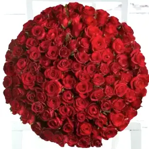 100 Luxury Red Roses