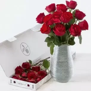 Letterbox 12 Red Roses