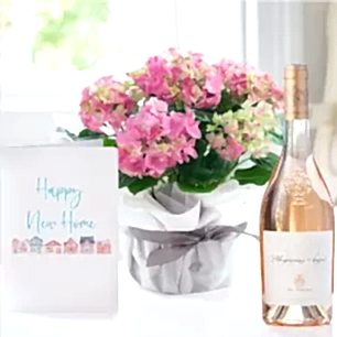 Gift Wrapped Pink Hydrangea Plant, Whispering Angel & New Home Card