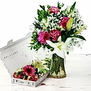 Letterbox Blush 