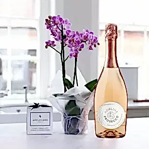 Mini Pink Orchid (20-25cm), Prosecco Rosé & 6 Mixed Truffles