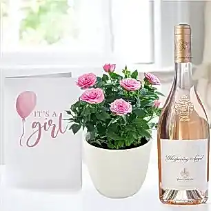Pink Rose Plant in Pot, Whispering Angel & Baby Girl Card