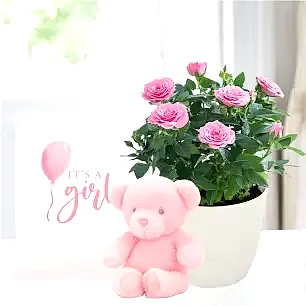 Pink Rose Plant in Pot, Pink Bunny & Baby Girl Card