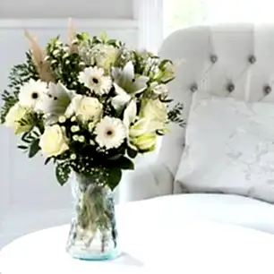 Purity & Vase