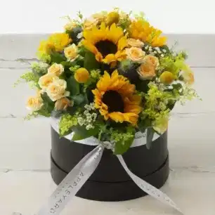 Radiant Hatbox 