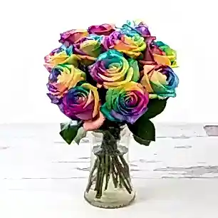 Rainbow Roses