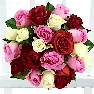 Rose Medley 