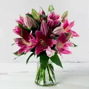 Stargazer Lily Bouquet