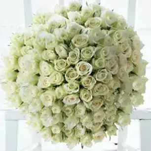 100 Luxury White Roses