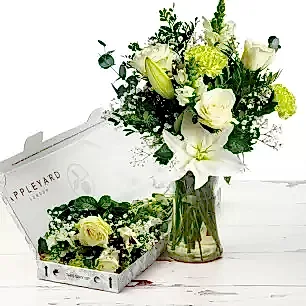 Letterbox Pearl