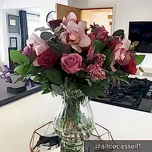 Instagram 15