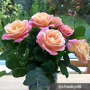 Instagram 2